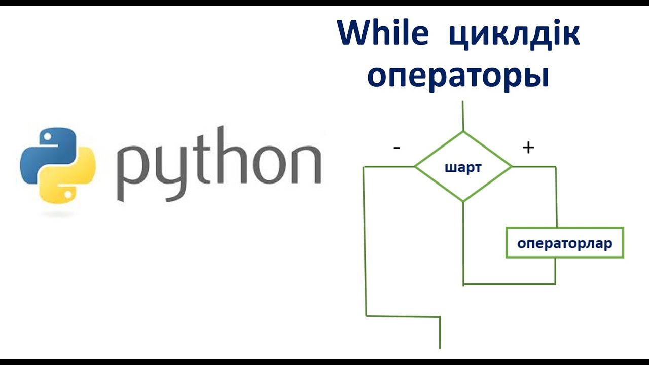 While циклі 8-cынып  #while #python #цикл #информатика