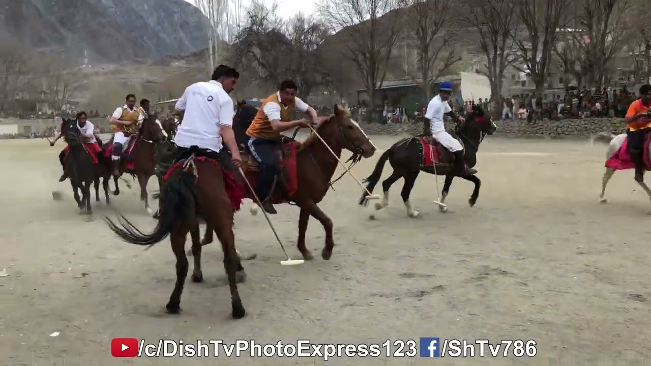 freestyle polo matches