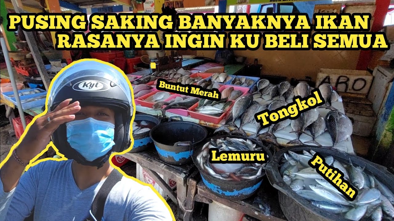 Hunting Ikan di Pasar Ikan Terbesar di Banyuwangi