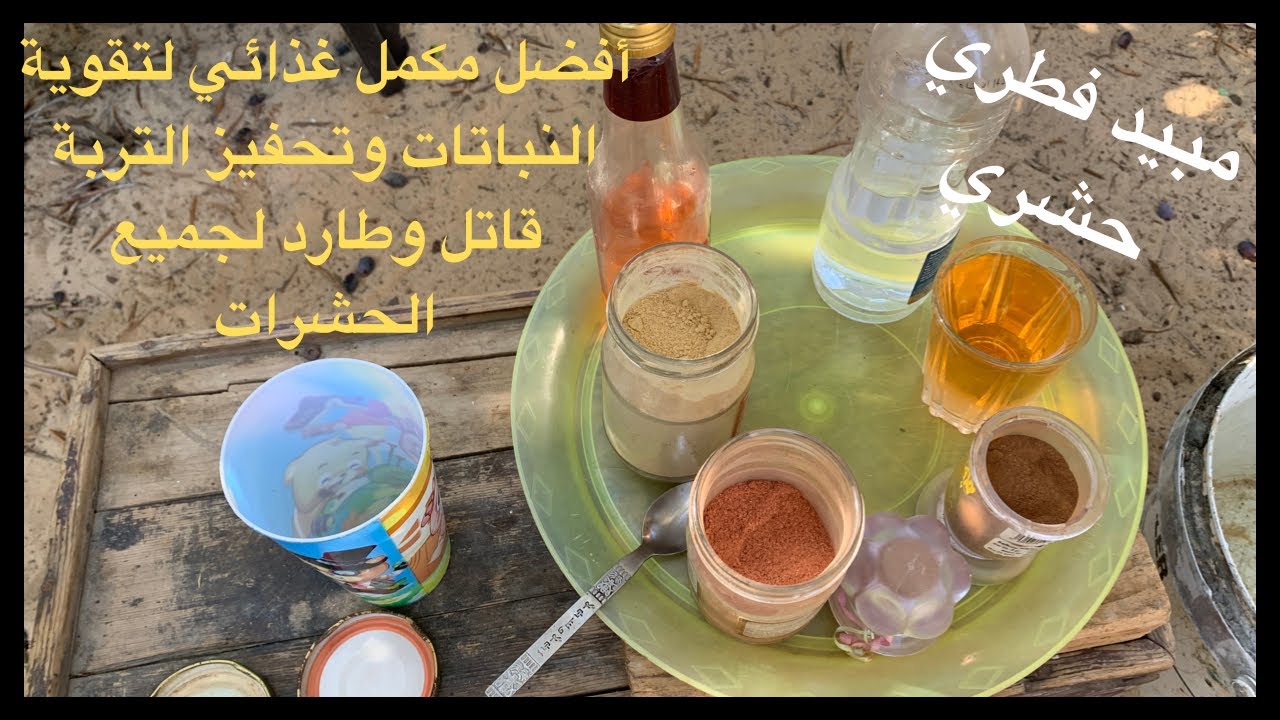 تقوية النباتات وتحفيز التربة ، إبادة جميع الحشرات بخليط موجود في كل بيت