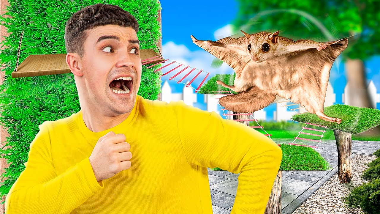 We Build Amazing Maze for Flying Squirrel! Secret Room for Pets