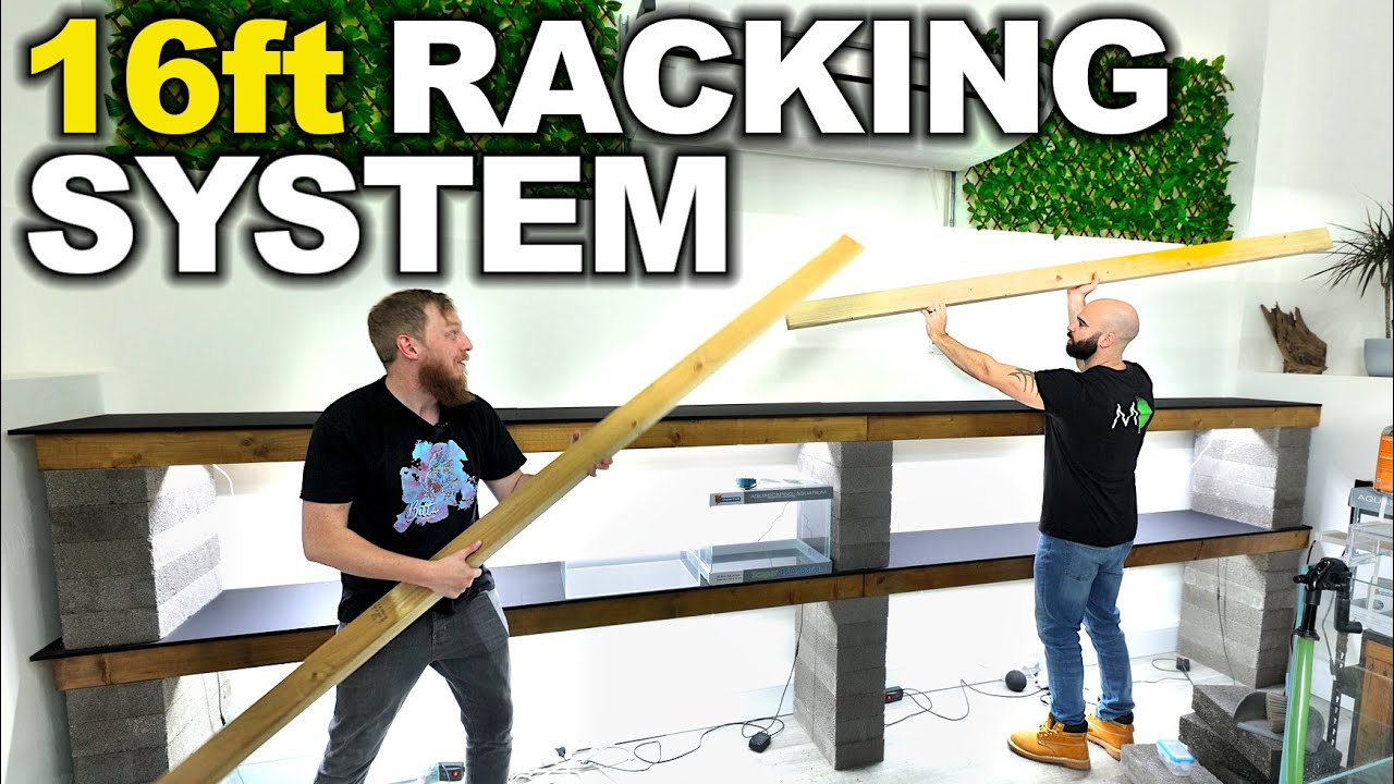 Building A 16ft Racking System For The Fish Studio! (IT'S HUGE!!)