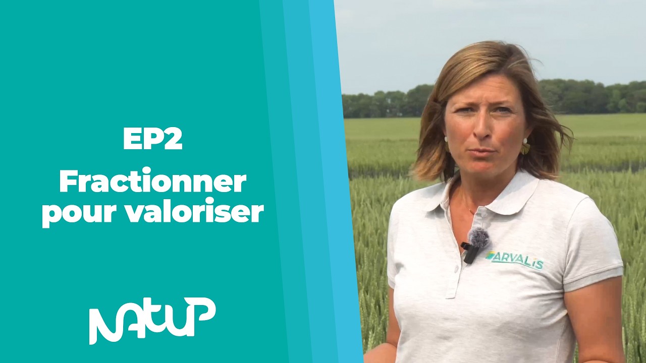 Forum blé tendre Nord-Seine-Normandie : Fractionner pour valoriser.