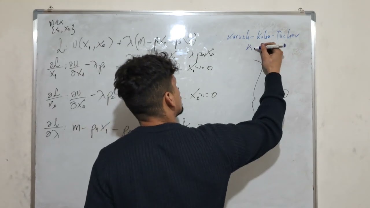 MICROECONOM&Iacute;A - Teor&iacute;a del Consumidor (Axioma de No Saciedad)