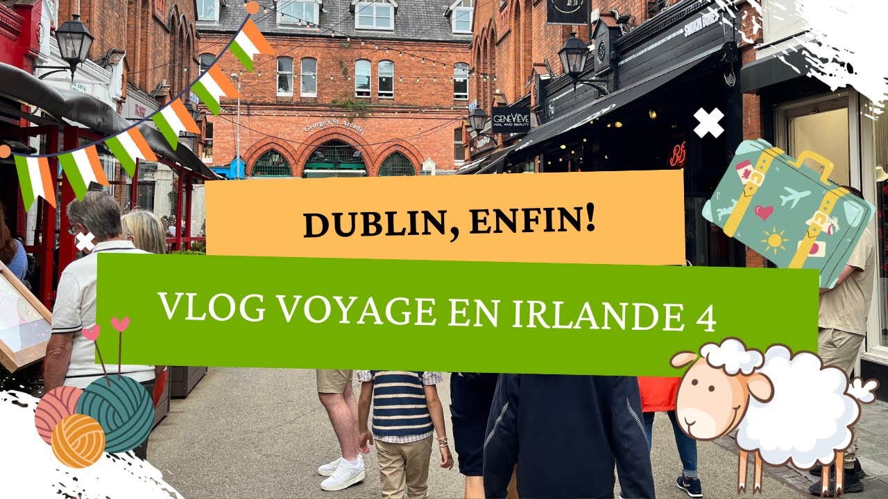 FR Vlog Irlande 4 - Dublin: laines pour le tricot et le crochet. Balade à Dublin, Trim et Knowth.