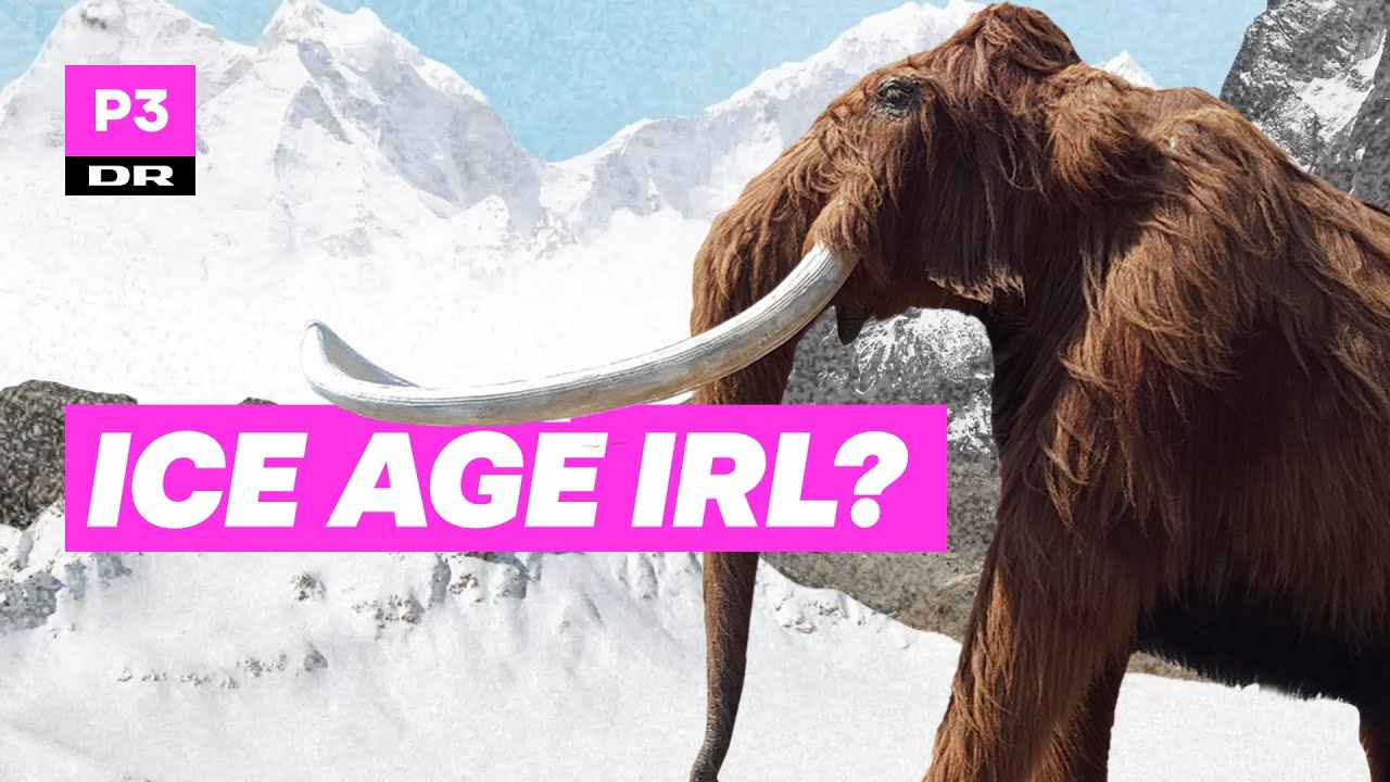 Kan vi genoplive en mammut?