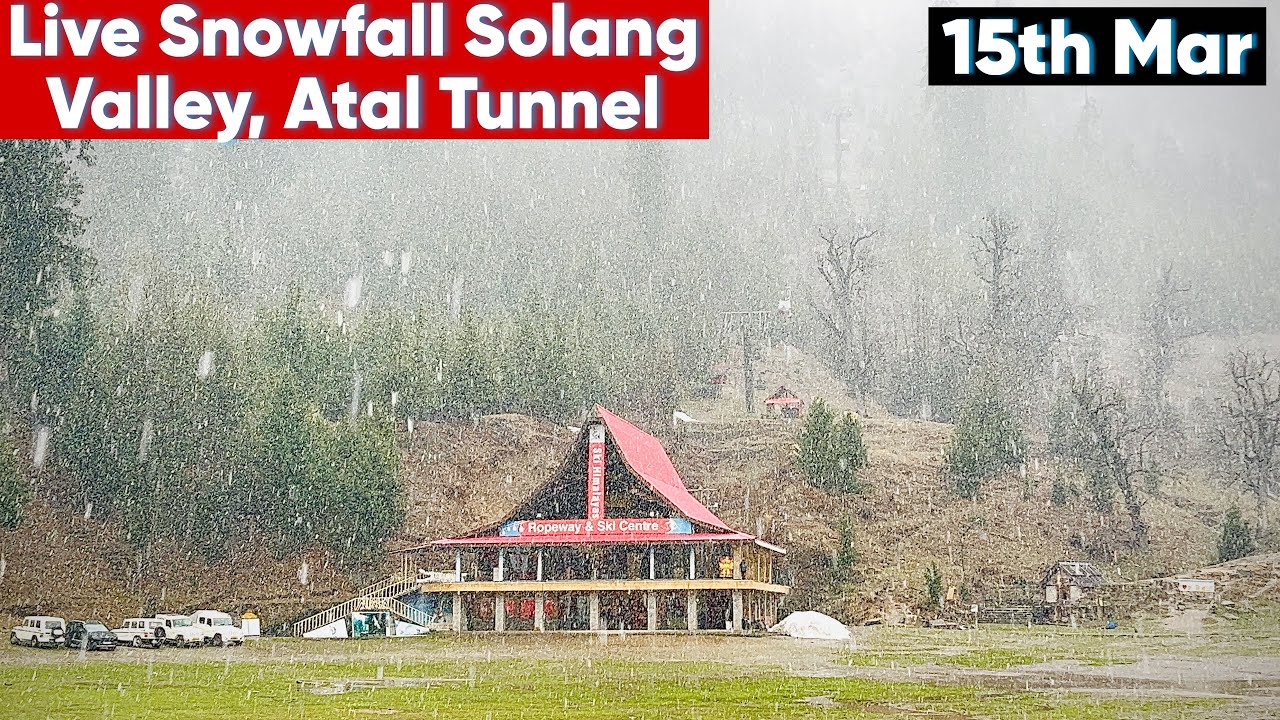 Fresh Snowfall LIVE from Solang Valley, Manali | 