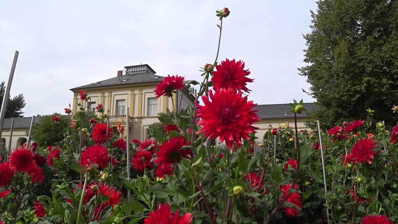 Palmengarten Frankfurt