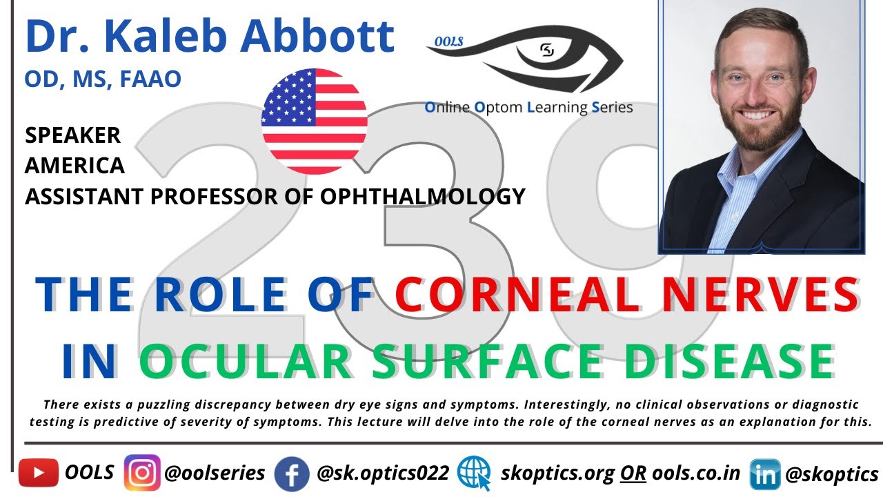 The Role of Corneal Nerves in Ocular Surface Disease 