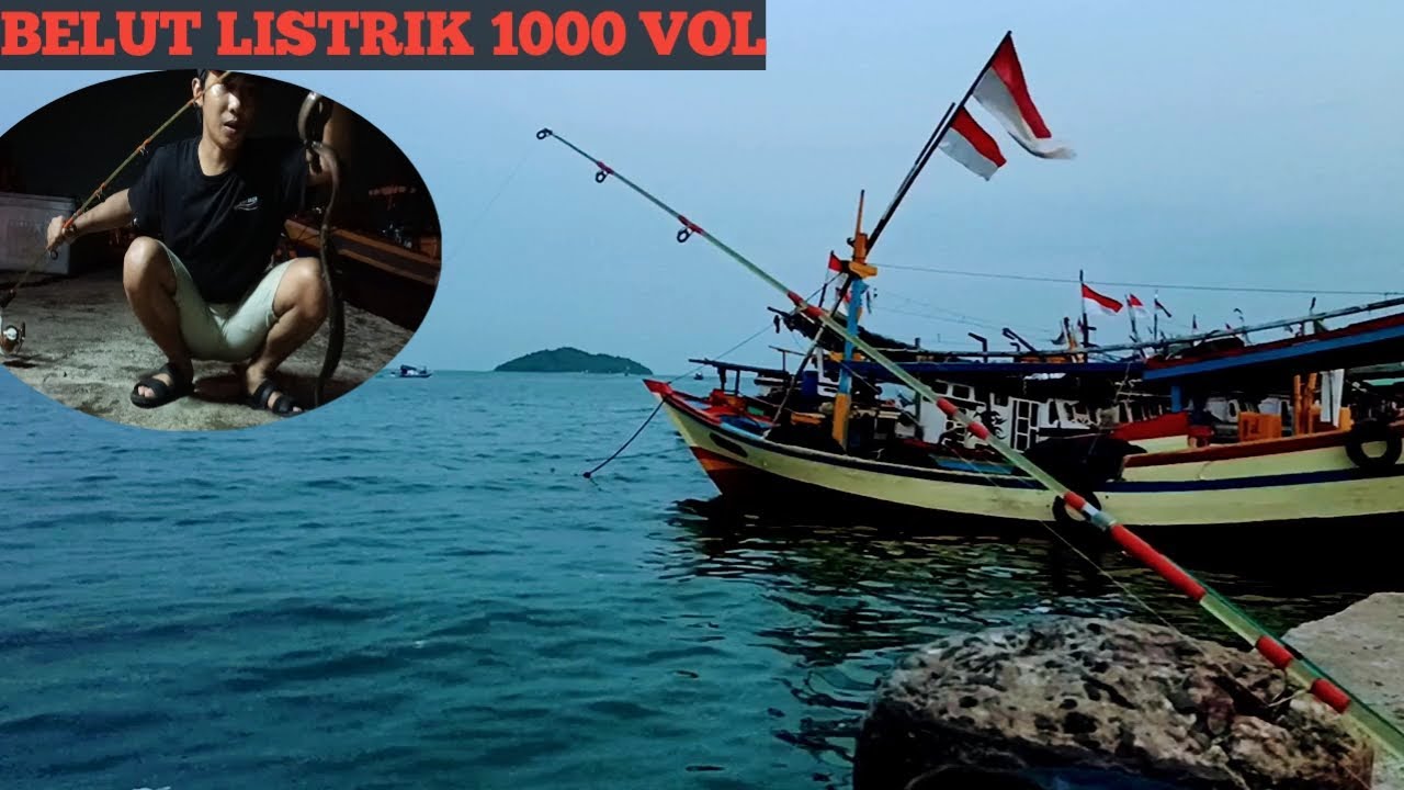 Dikira ularr...!!gak taunya dapat belut listrik 1000 vol. Ngeri 😱#balam way