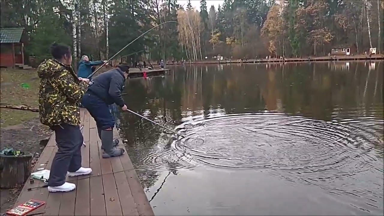 Бомбарда и закидушки работают лучше. Клёвое место, Лосиный остров, нижний водоём.