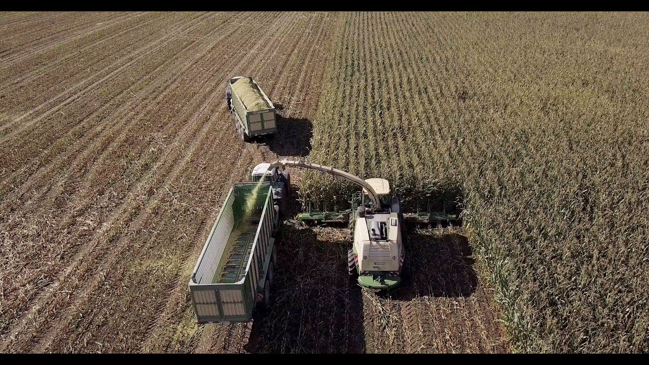 Maish&auml;ckseln 2021 LU Loritz /Krone/ Fendt