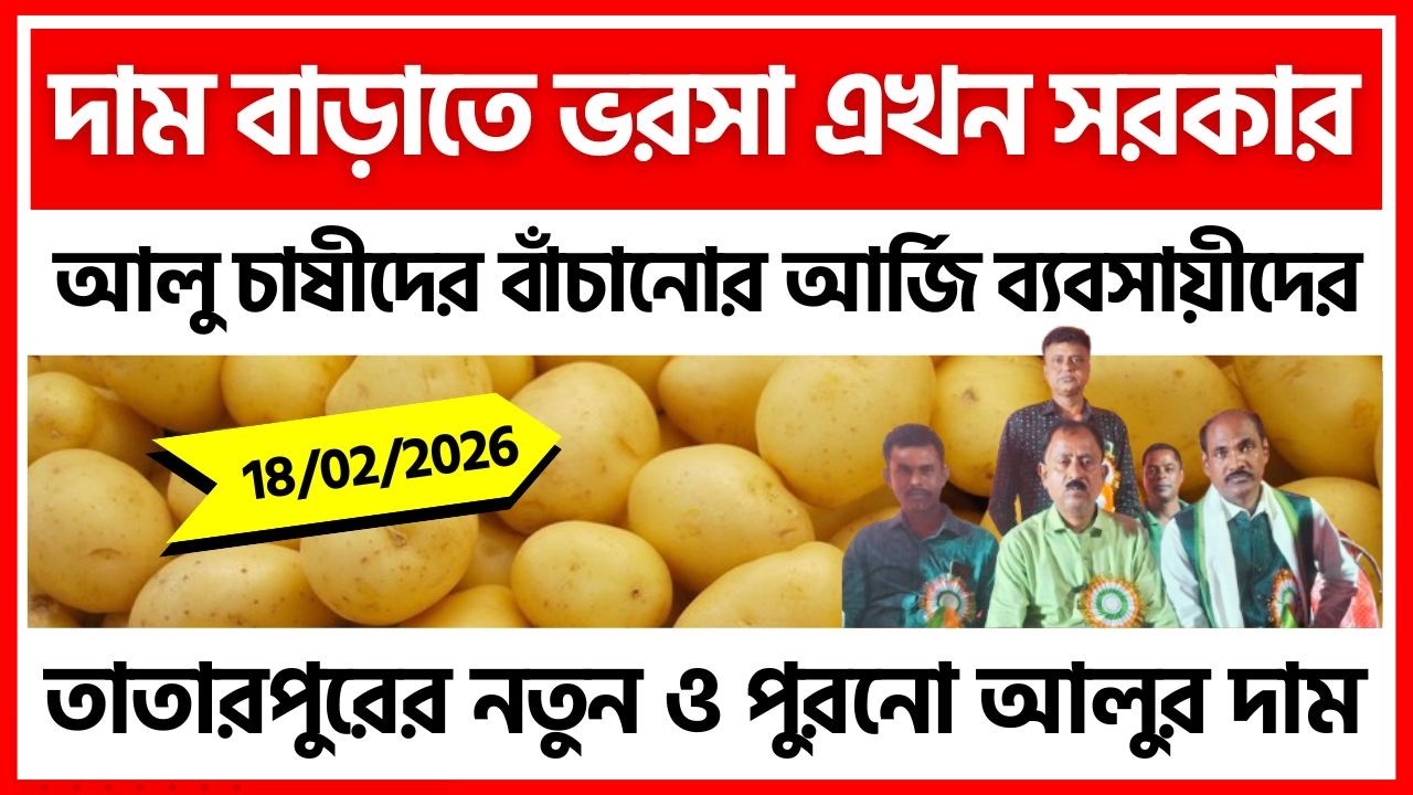 18/02/2026 : মেদিনীপুরের তাতারপুরের আজকের আলুর দাম | Potato Price in Tatarpur - India Potato News