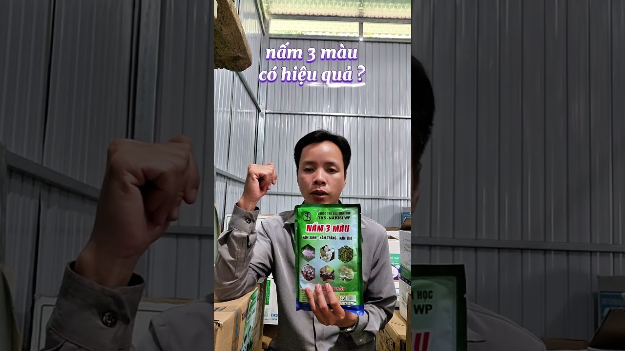c&aacute;ch sử dụng nấm 3 m&agrave;u hiệu quả ! #bvtv #n&ocirc;ngnghiệphay #farming #cafe #ti&ecirc;u #raumau
