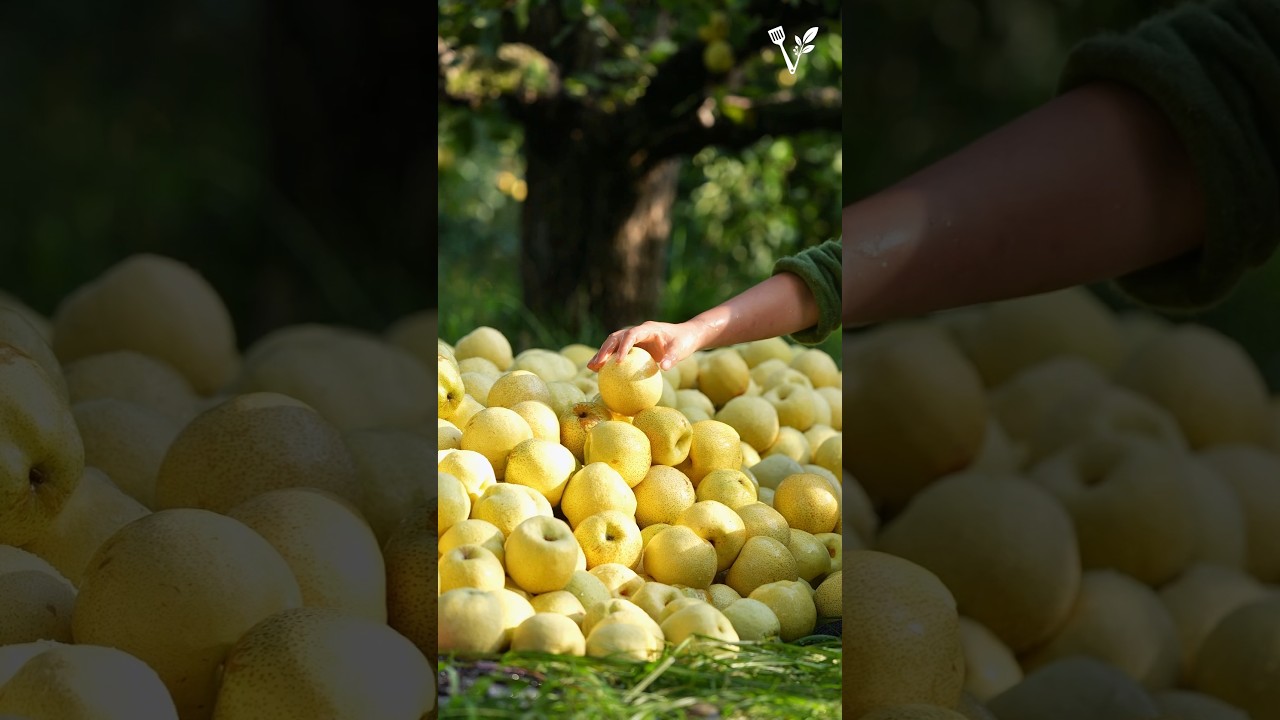 Hilly tea made from pear 🍐Pear Dessert Recipe #Shorts