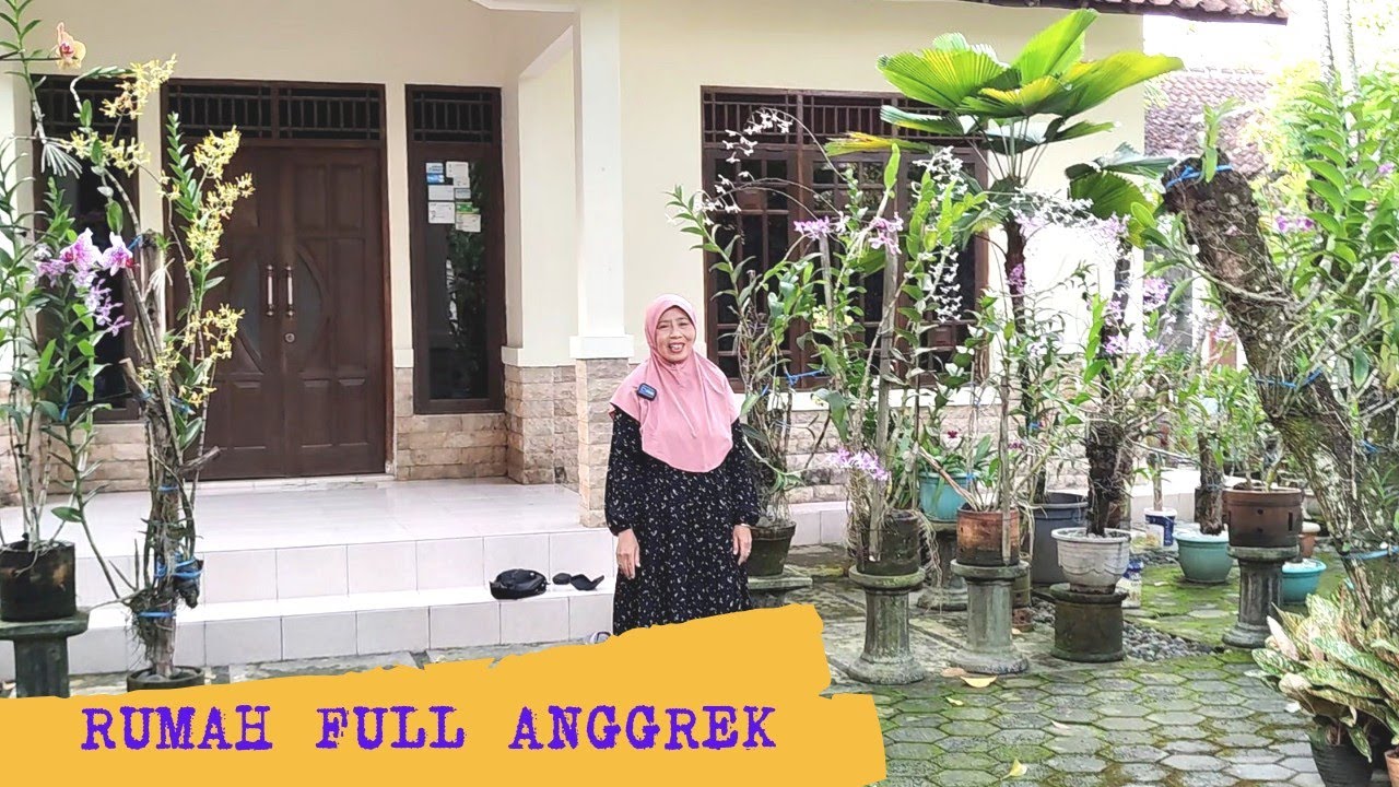 ANGGREK DI KAYU CEPAT BERKEMBANG, DARIPADA DI POT.
