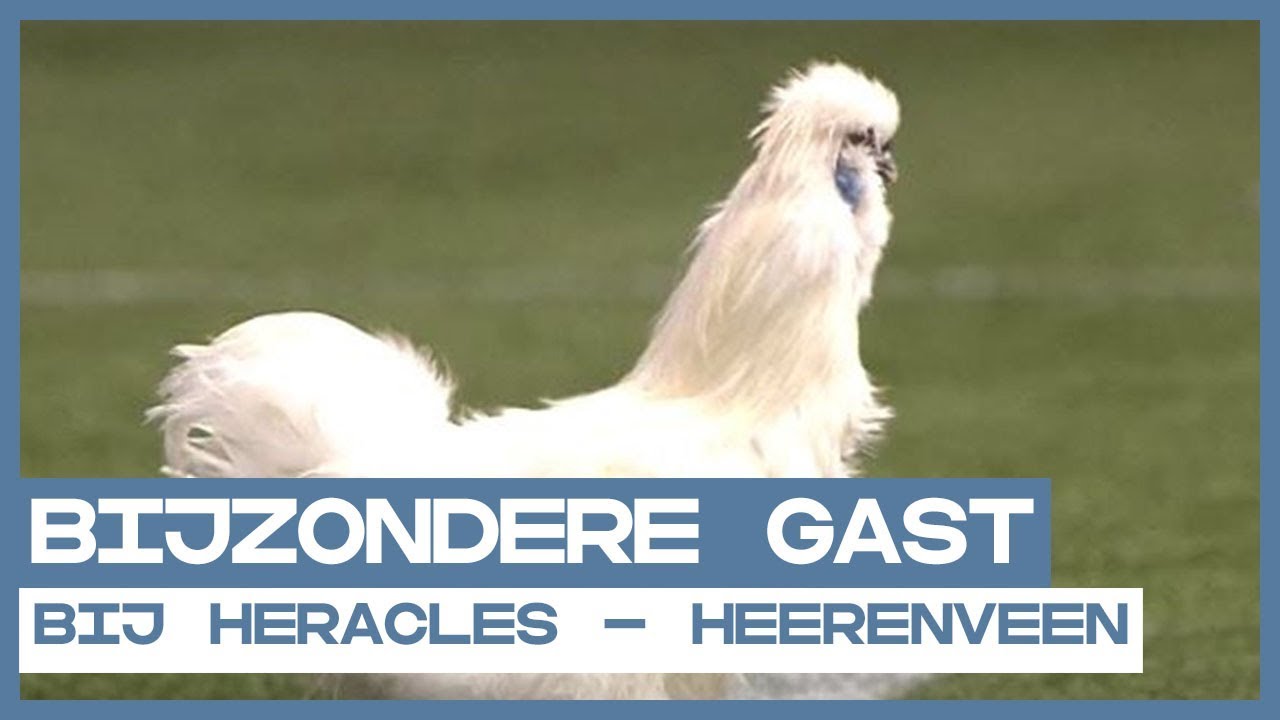 FUNNIEST | Bijzondere gast in Almelo