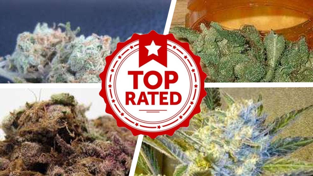 The Best Types Of Weed For Laughing 💟