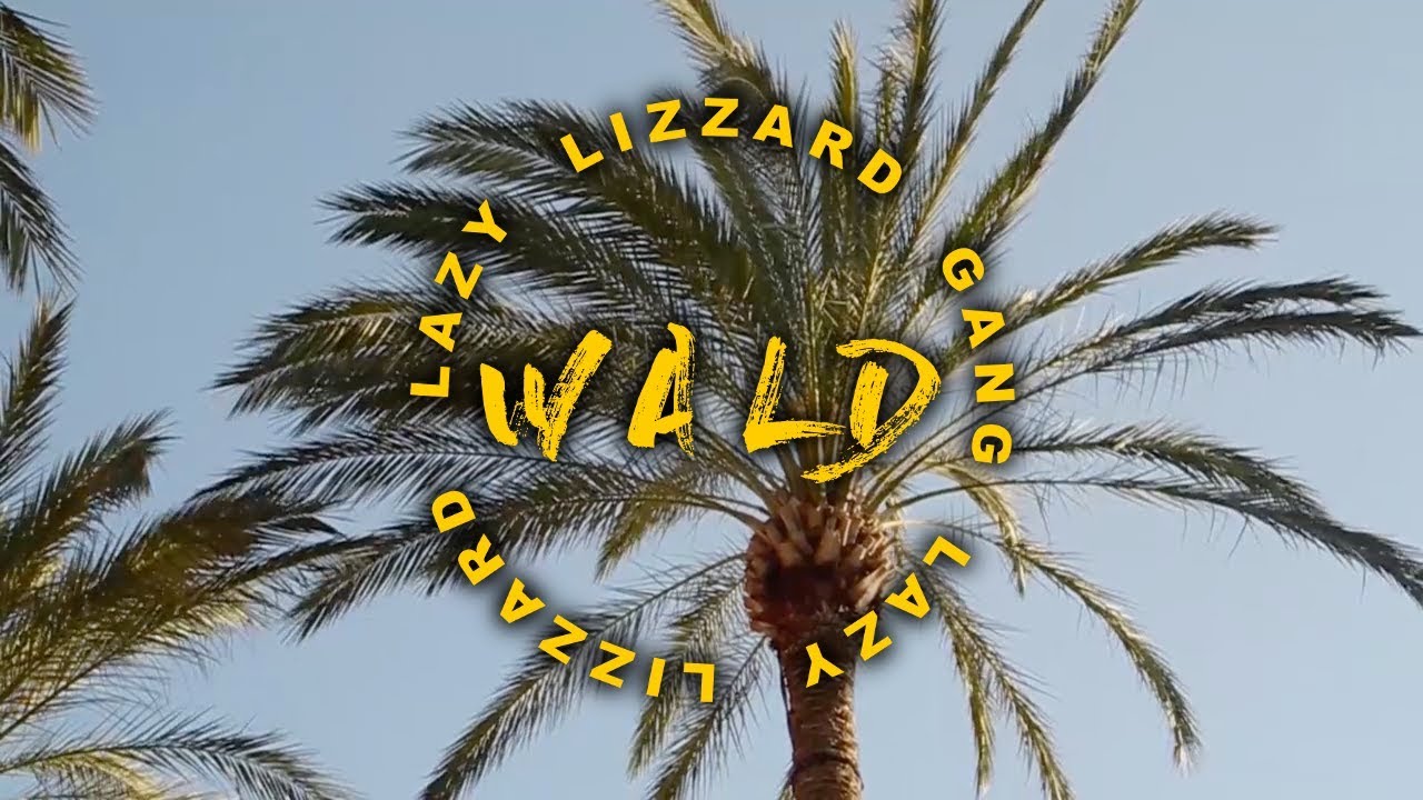 Lazy Lizzard Gang - Crocodile Ganja (prod. by Juicy Gay)