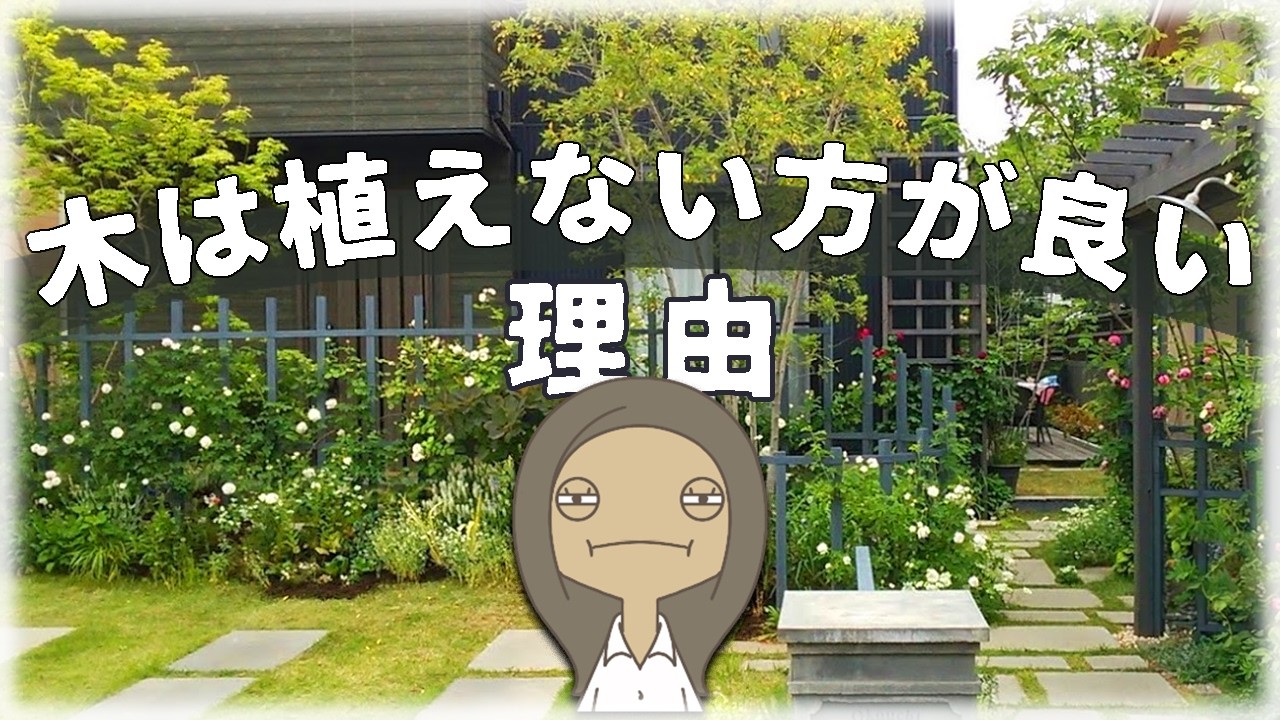 【スッキリ！】不安別お勧め樹種紹介