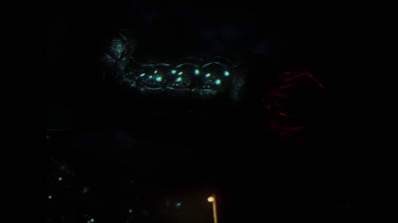 SOMA Monster Sounds - Leviathan