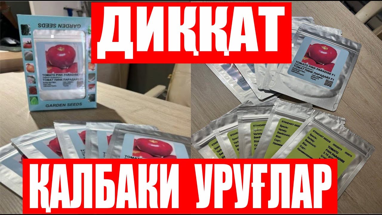 ДИҚҚАТ ҚАЛБАКИ ПИНК ПАРАДАЙЗ F1 УРУҒЛАРДАН ЭХТИЁТ БЎЛИНГ!!!  (Tomato Pink Paradise F1-Sakata)