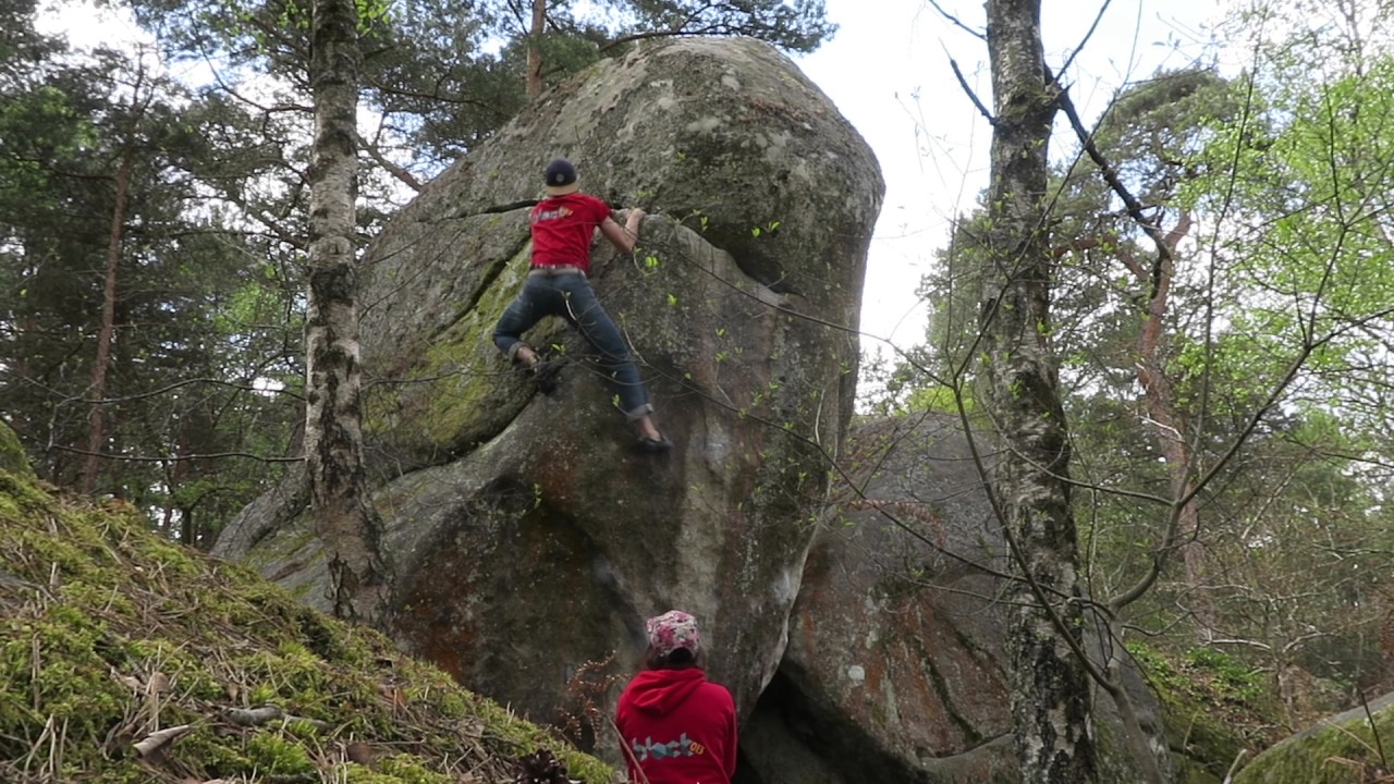 Synapses 8A - Cassepot Roches Grises / Fontainebleau