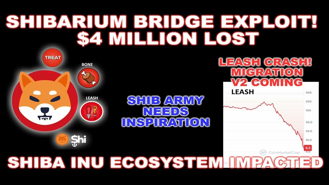 Shibarium Bridge Exploit! Shiba Inu Ecosystem Impacted!  Leash Price Crashes & Leash Migration!