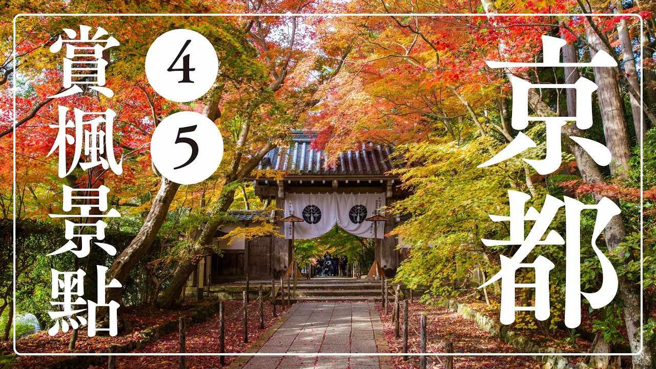 🍁京都45個賞楓景點🍁｜晚到京都還有哪些景點有楓葉能看？ 東福寺/清水寺/永觀堂/貴船神社/東寺/嵐山/金閣寺/下鴨神社/二条城/高台寺/知恩院/南禪寺/圓光寺/京都御苑/北野天滿宮/光明寺