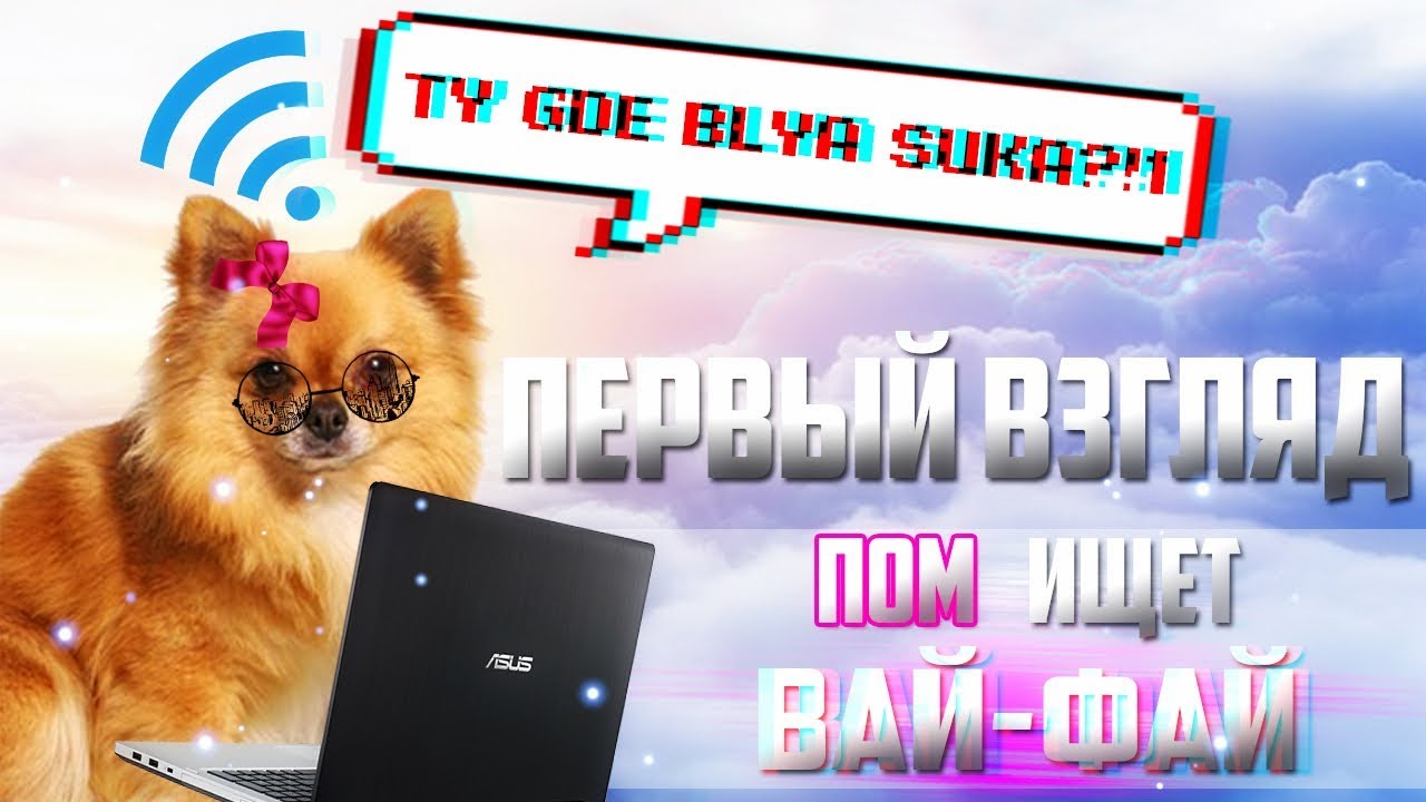 #ПЕРВЫЙ_ВЗГЛЯД ИГРЫ - Пом ищет вай-фай / Pom Gets Wi-Fi
