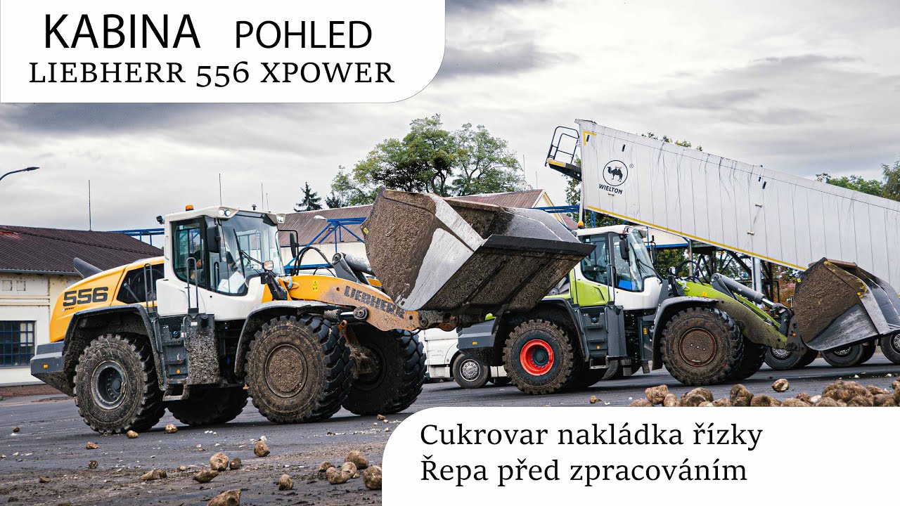 Z KABINY 🟠 LIEBHERR 556 X.POWER 💪 | Cukrovar nakládka řízky a uložení řepy před zpracováním