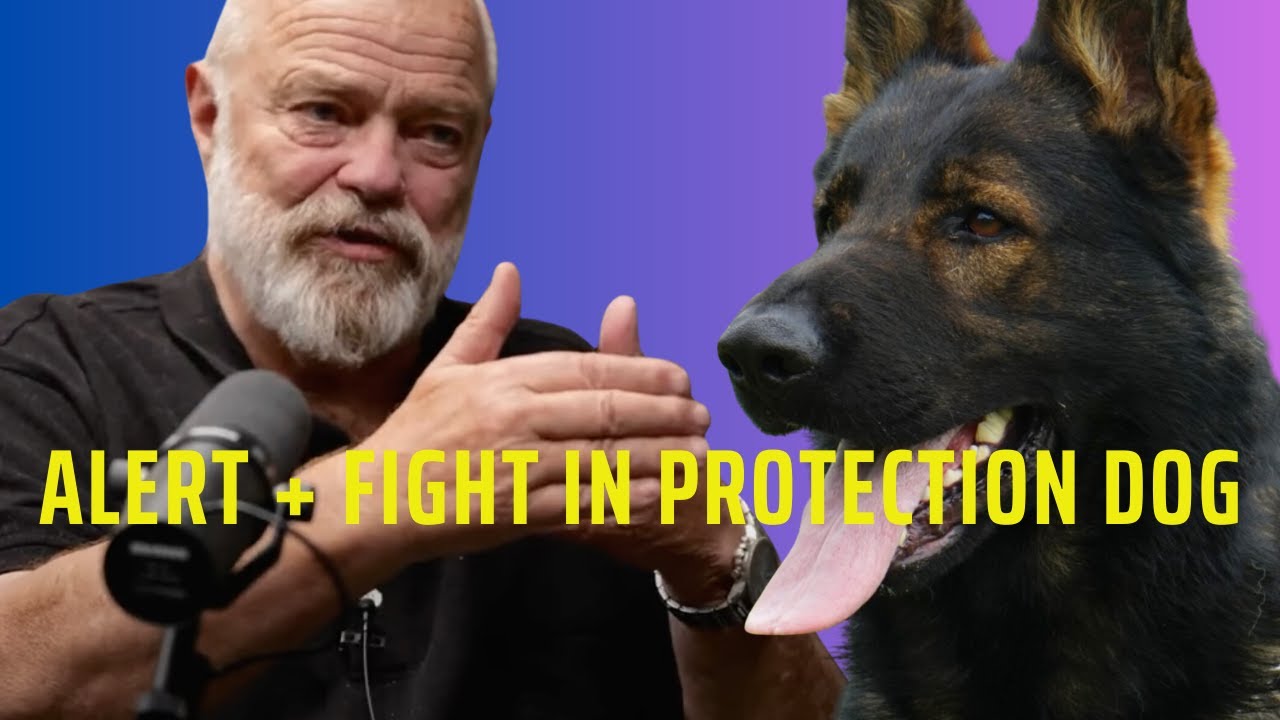 Alert and Fight Distance in Dog's Protection Training