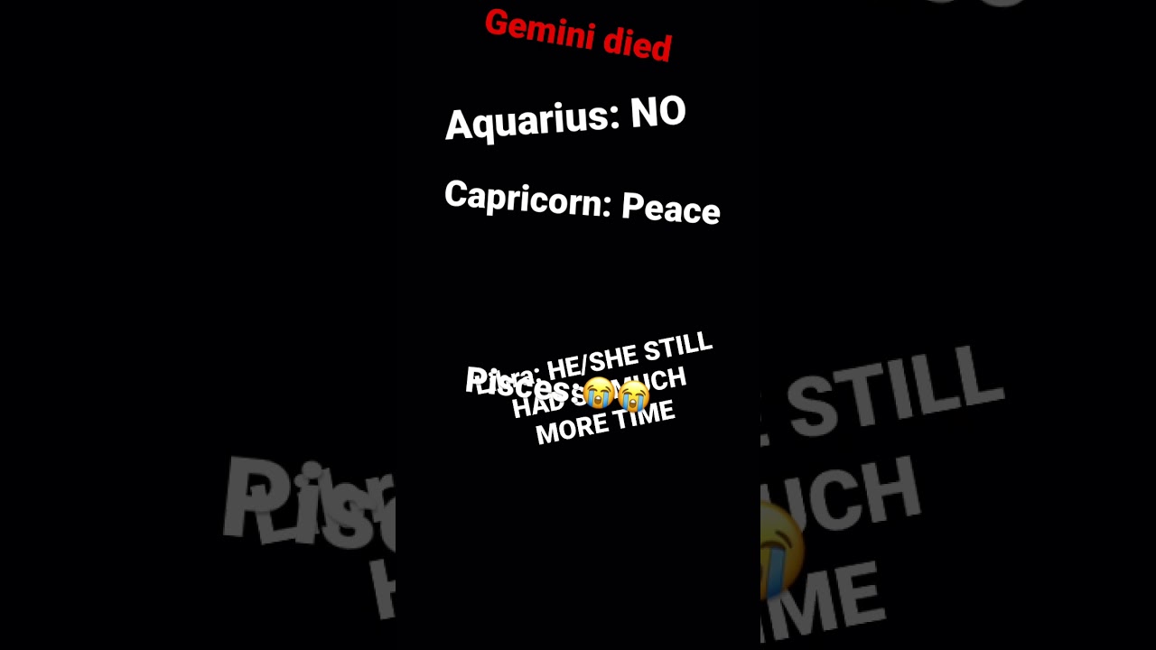 POV: Gemini died