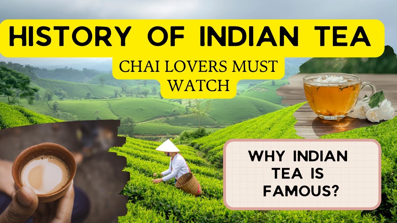 The History of Tea in India | Chai Lovers | Facts #chai#Tea#IndianTea