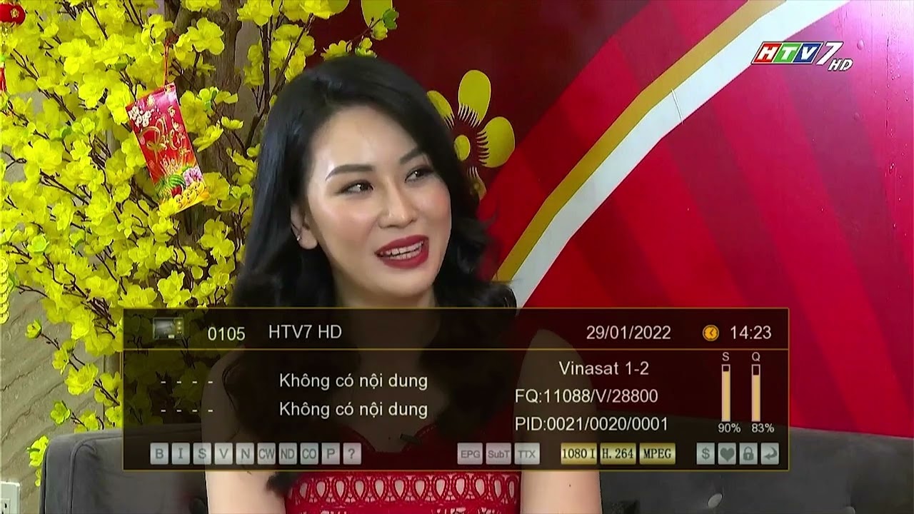 Terrestrial (Dak Lak province) + Satellite (Vinasat 1,2) Channel Zapping - January 29, 2022