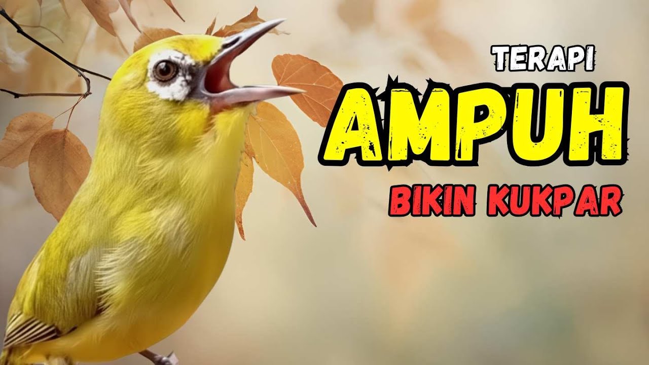 Pancingan AMPUH Agar Pleci Bongkar Isian