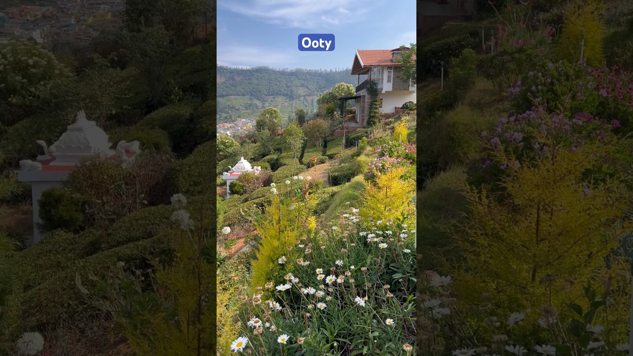Planter&rsquo;s punch resort | Ooty | peaceful place  #teagarden #incredibleindia #resort #bangalore