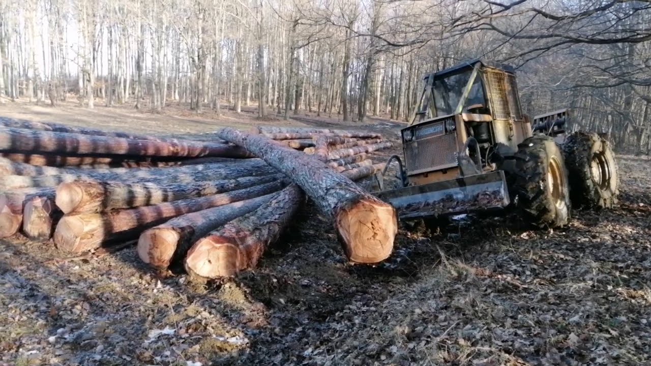 Lkt 81 turbo, STIHL 462, ťažba smrekovca-zostrih dňa.