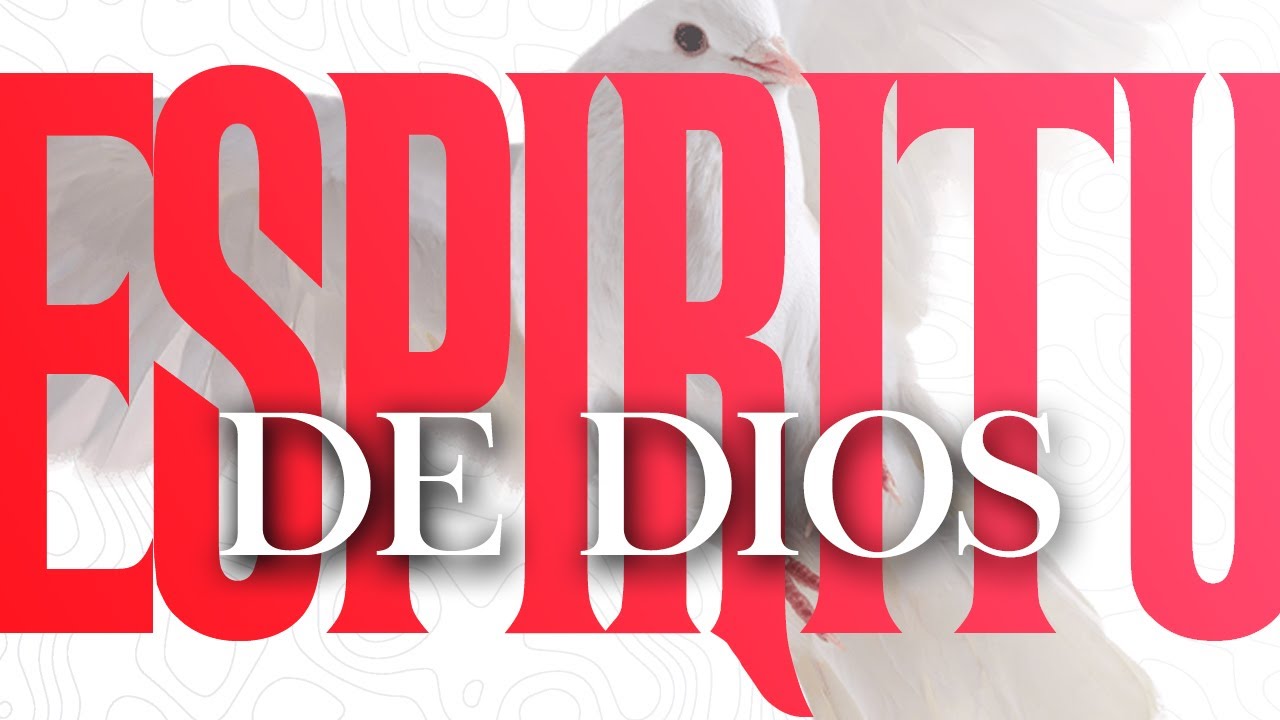 Pastor David Nieves | Espíritu de Dios | 8 Aniversario Evangelista Herbert Ruiz