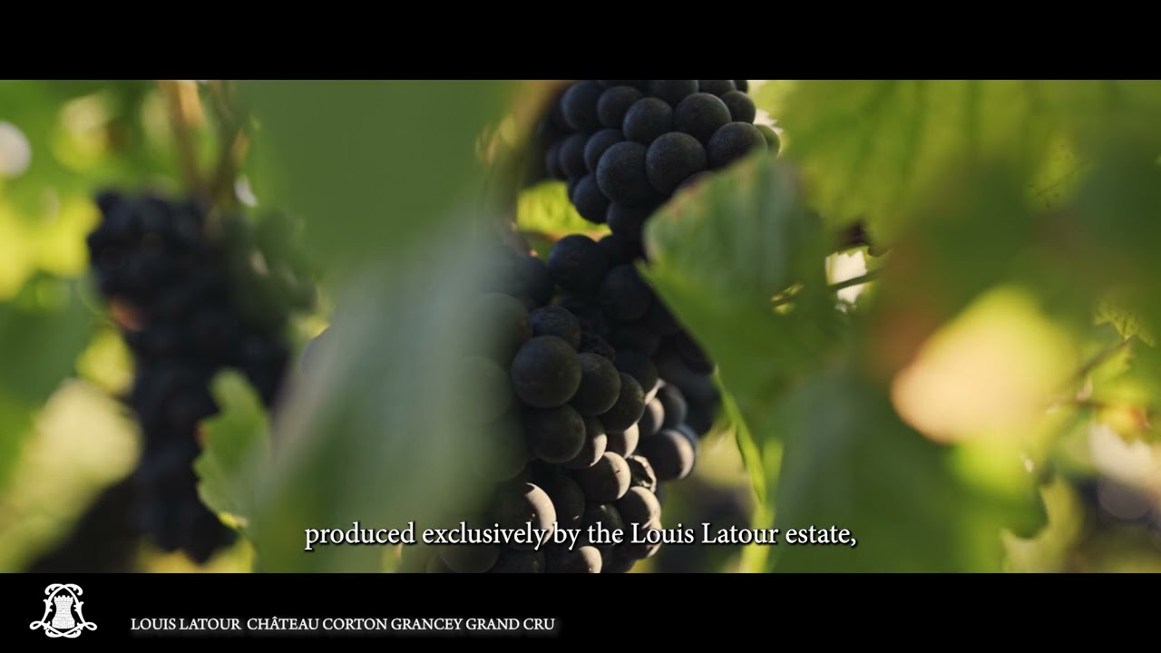 Episode 9 : Château Corton Grancey Grand Cru