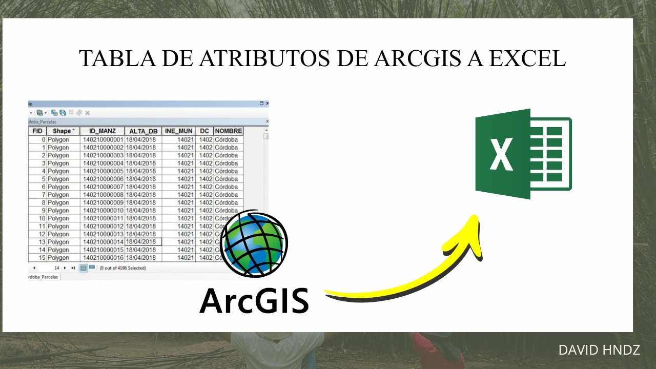 Exportar tabla de Atributos de ArcGIS (ARCMAP) a Excel