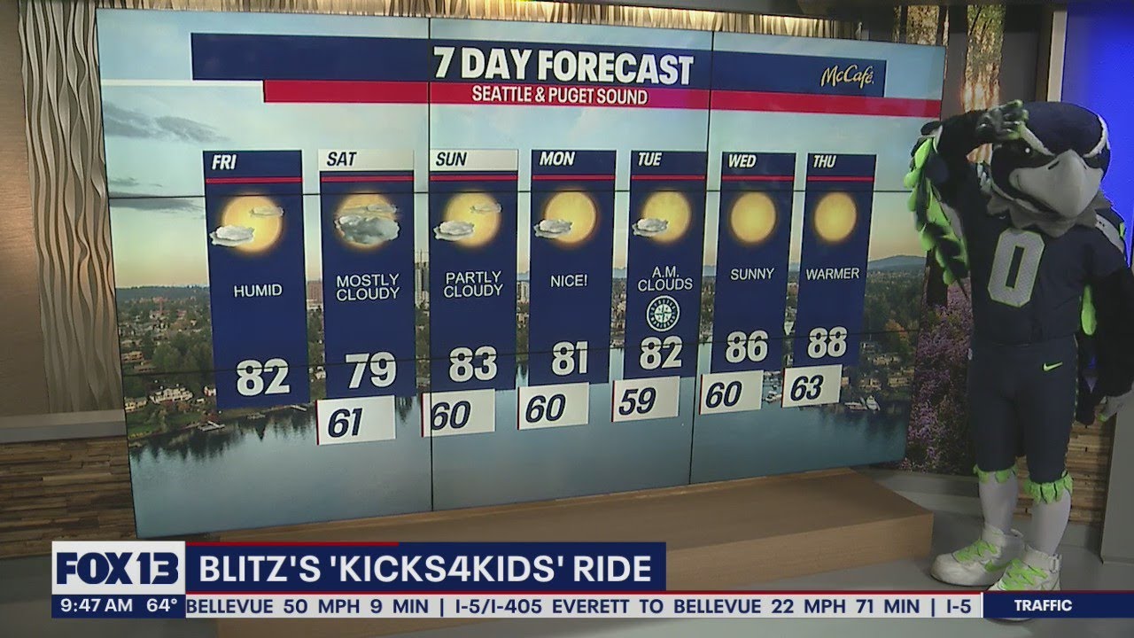 Blitz the Seahawk with your 7-day weather forecast | FOX 13 Seattle