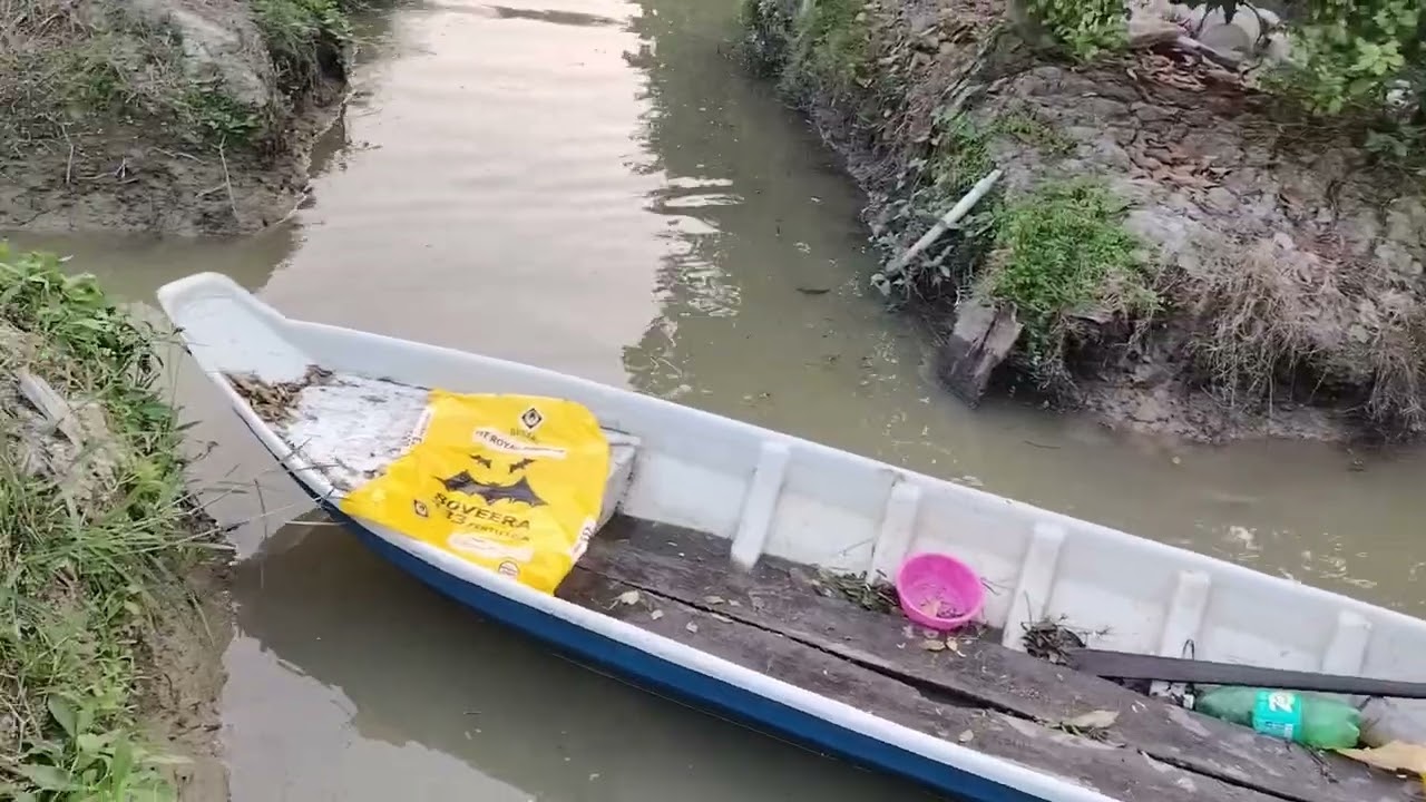 Mô hình nông nghiệp xanh, rau sạch hữu cơ