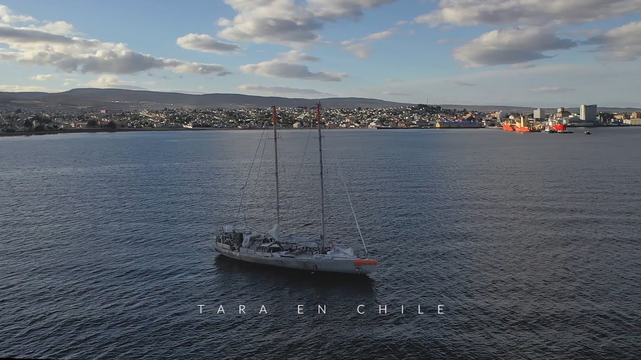 ▶️ TARA en Chile
