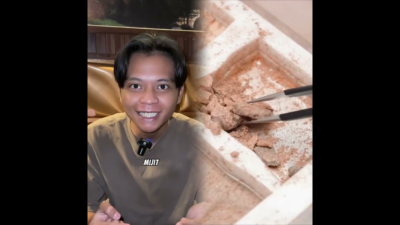 The best POV (@adamalhidayat) 🥉ASMR cake making story time | POVs Tiktok Collection