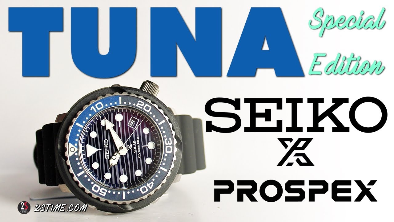 SEIKO SNE518P1 Save the Ocean | A Limited Diver Watch Under 400$