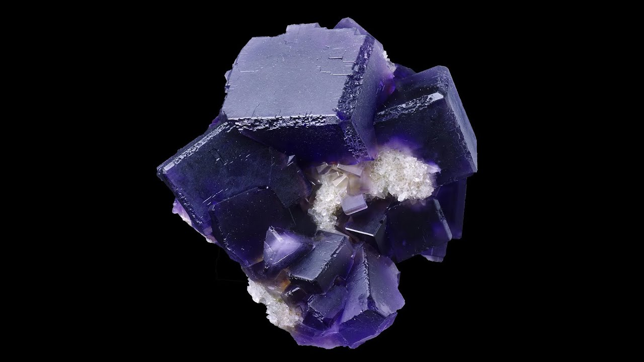 Fluorine de Berbés (ref: C50-05)