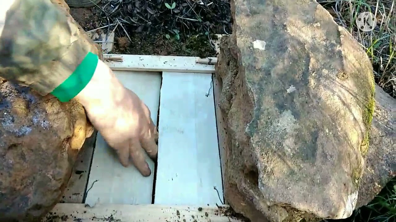 فخ للصيد الحجل و الارنب Trap for hunting partridge and rabbit