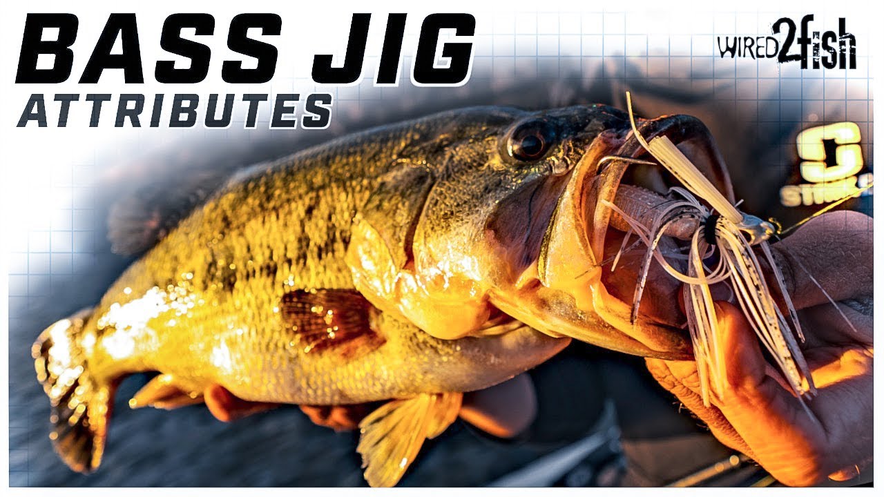 How to Choose Bass Jigs | Welcher’s Design Criteria