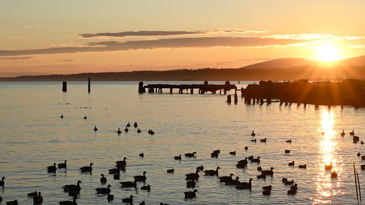 4K West Coast Chill – 2 Hours of Lakes, Beaches With Sunset Music
